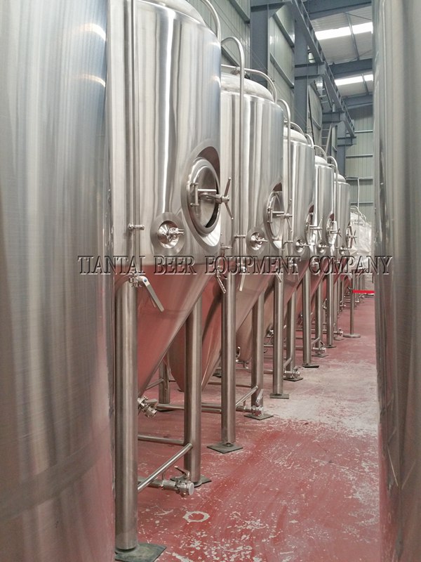 25HL Micro Fermentation Vessels for Sale